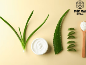 Bật mí 5 cách chăm sóc da mặt bằng nha đam hiệu quả tại nhà