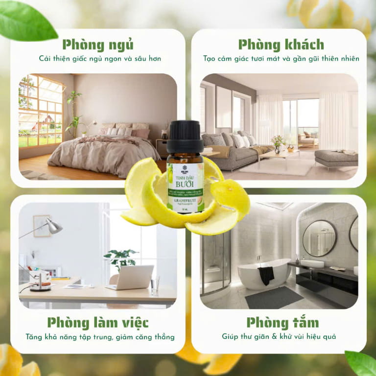 Tiêu Chí Chọn Mua Tinh Dầu Bưởi Chính Hãng