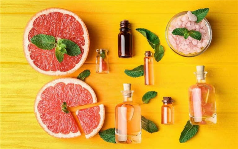 Các Loại Tinh Dầu Thơm Phòng Được Yêu Thích Và Lịch Sử Sử Dụng