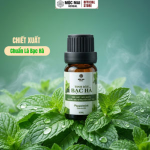 Tinh Dầu Bạc Hà