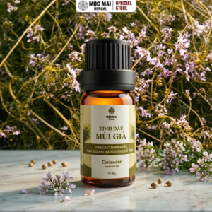 Tinh dầu Mùi Già