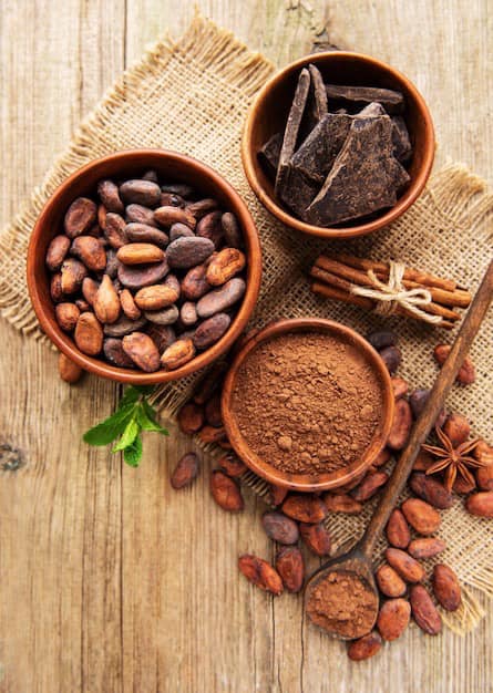 Bot cacao nguyen chat