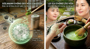 Bột Matcha Premium Và Bột Cacao Nguyên Chất – Bộ đôi Chống Lão Hóa Được Phụ Nữ Hiện Đại Ưa Chuộng