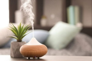 Tinh dầu dùng cho máy khuếch tán: Hướng dẫn sử dụng từ chuyên gia